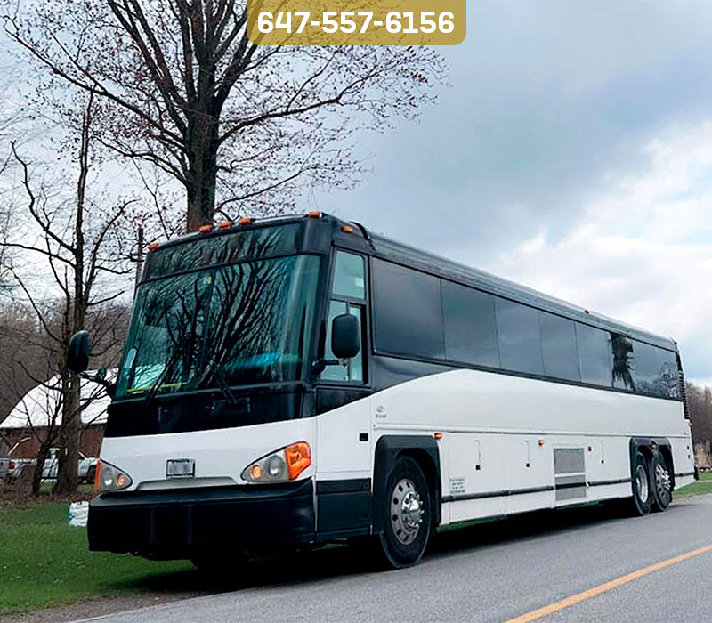 Welcome to Toronto Limousine Service