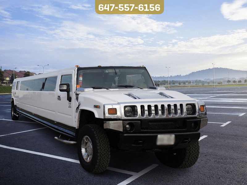 Toronto Limousine Services